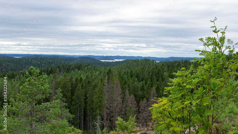 Mountain view of lake Onega in Karelia, Russia, August 2020 Mountain view of lake Onega in Karelia, Russia, August 2020