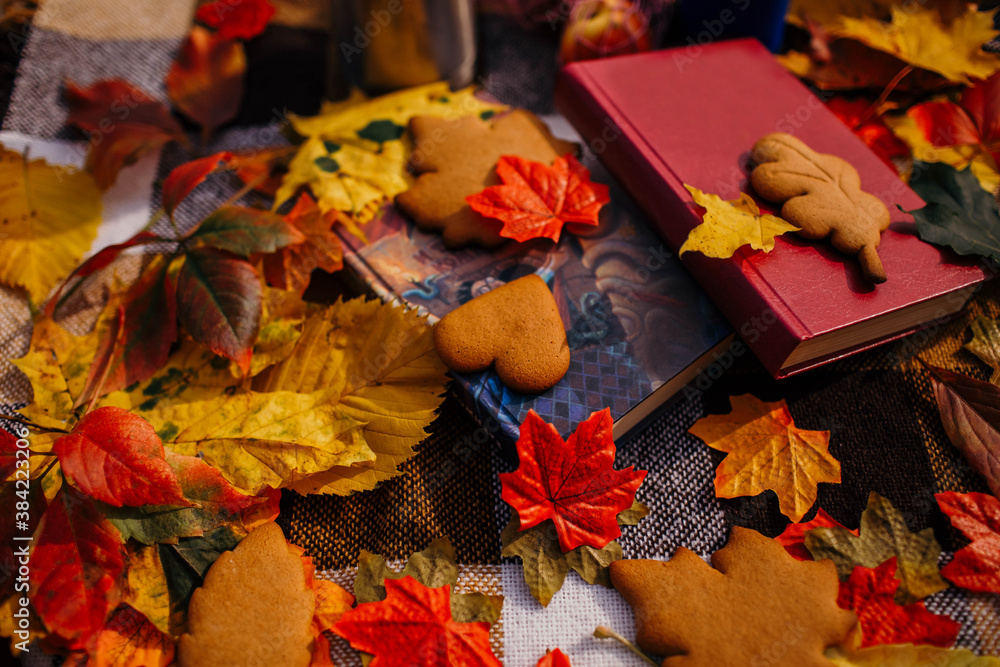 autumn leaves and handmade cookies on the background of books and a blanket.