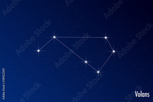 Astronomical vector illustration of Volans constellation. 