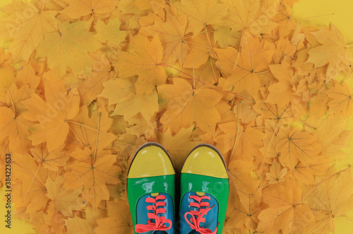 sneakers, background yellow maple autumn leaves