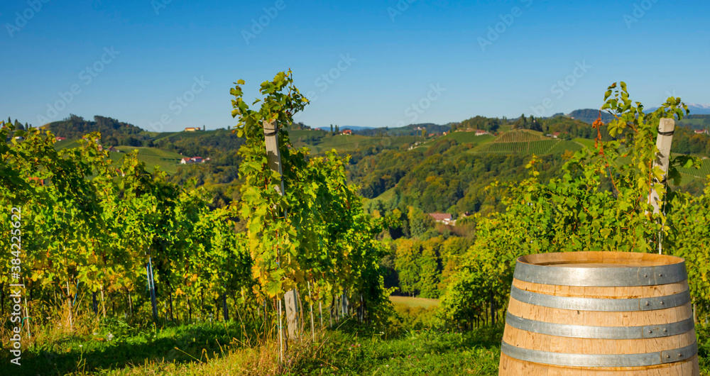Vineyards along South Styrian Wine Road, a charming region on the border between Austria and Slovenia with green rolling hills, vineyards, picturesque villages and wine taverns