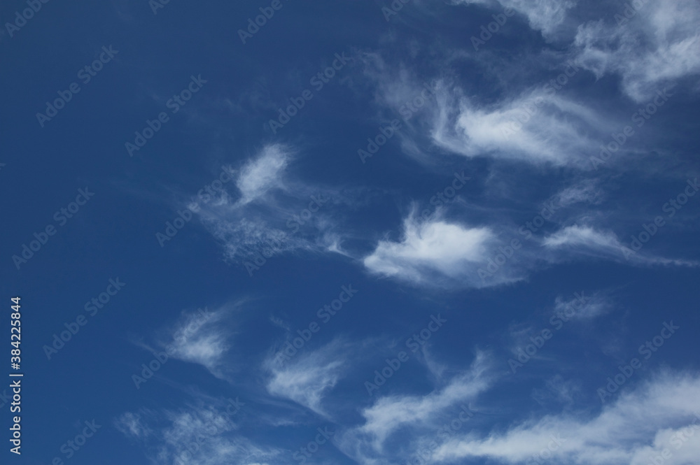 Obraz premium 夏空