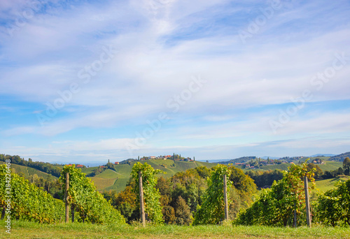 Fototapeta Naklejka Na Ścianę i Meble -  Vineyards along South Styrian Wine Road, a charming region on the border between Austria and Slovenia with green rolling hills, vineyards, picturesque villages and wine taverns
