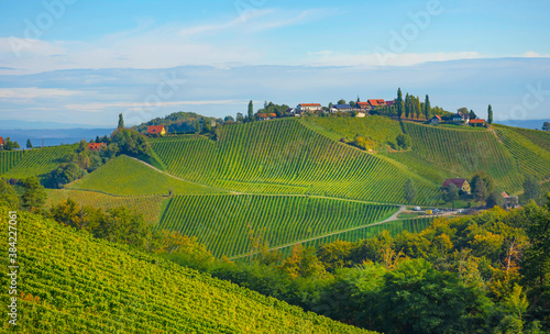 Vineyards along South Styrian Wine Road, a charming region on the border between Austria and Slovenia with green rolling hills, vineyards, picturesque villages and wine taverns © Aron M  - Austria