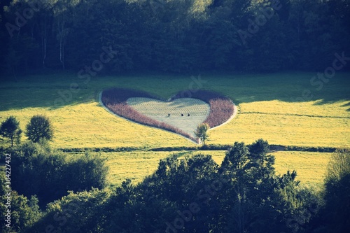 heart landscape with lake and trees, bieszczady in poland