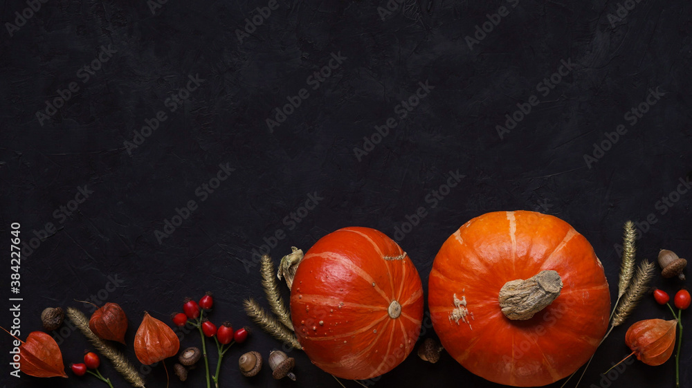 Bright ripe orange pumpkin, spikelets, red rose hips, orange fezalis and acorns on black concrete background, top view, flat lay, copy space. Autumn atmosphere concept