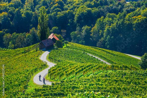 Cyclists on the famous Wine Road in the shape of a heart, a charming region on the border between Austria and Slovenia with green rolling hills, vineyards, picturesque villages and wine taverns