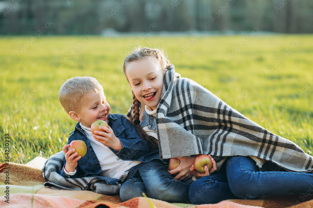 Children eat apples on the green grass. Brother and sister hug each other. Children eat apples on the green grass. Brother and sister hug each other.