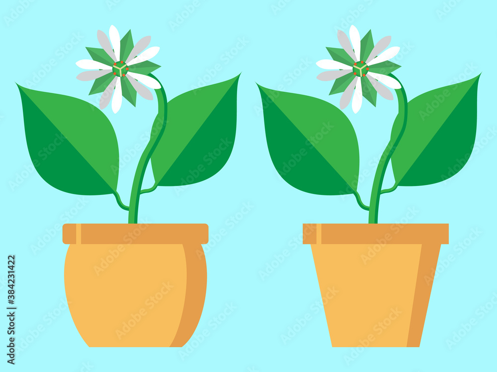 Vector illustration of a Stellaria flower. Isolated on a stylish colored background. It can be used as a birthday or other holiday greeting card, as a decorative element on a website or banner. Vector illustration of a Stellaria flower. Isolated on a stylish colored background. It can be used as a birthday or other holiday greeting card, as a decorative element on a website or banner.