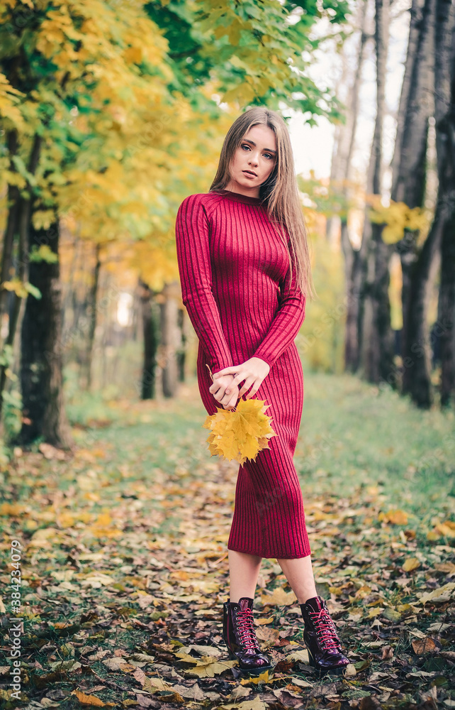 A beautiful young woman with loose hair in a knitted sweater stands in a park against the background of autumn leaves. A beautiful young woman with loose hair in a knitted sweater stands in a park against the background of autumn leaves.
