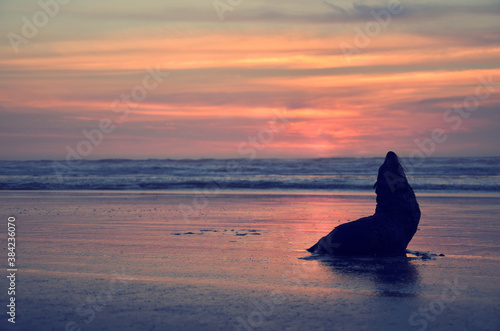 sunset on the sea