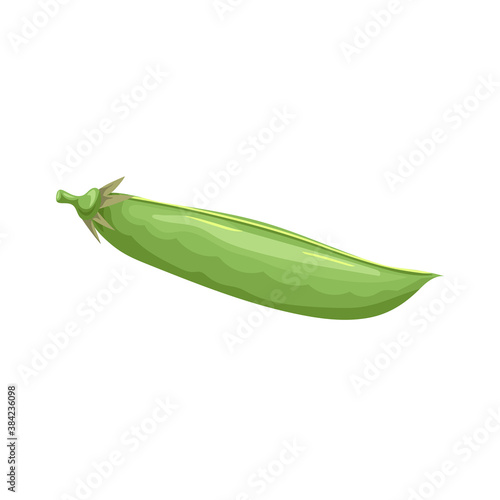 Cartoon green pea pod. Single vegetable. Fresh farm product. Eco nutrition. Vector illustration isolated on white background.