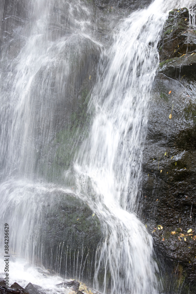 Fototapeta premium 滝