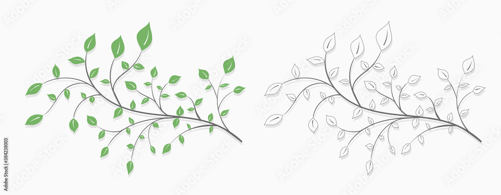 Fototapeta premium Tree branch with green leaves in a light style on a white background in two versions