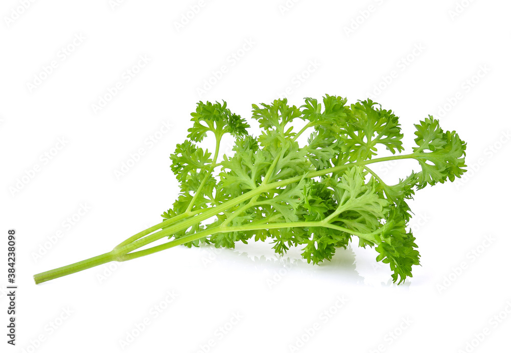 Parsley isolated on white background Parsley isolated on white background