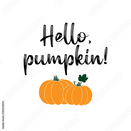 Hand sketched HELLO PUMPKIN quote as banner. Lettering for poster, label, sticker, flyer, header, card, advertisement, announcement..