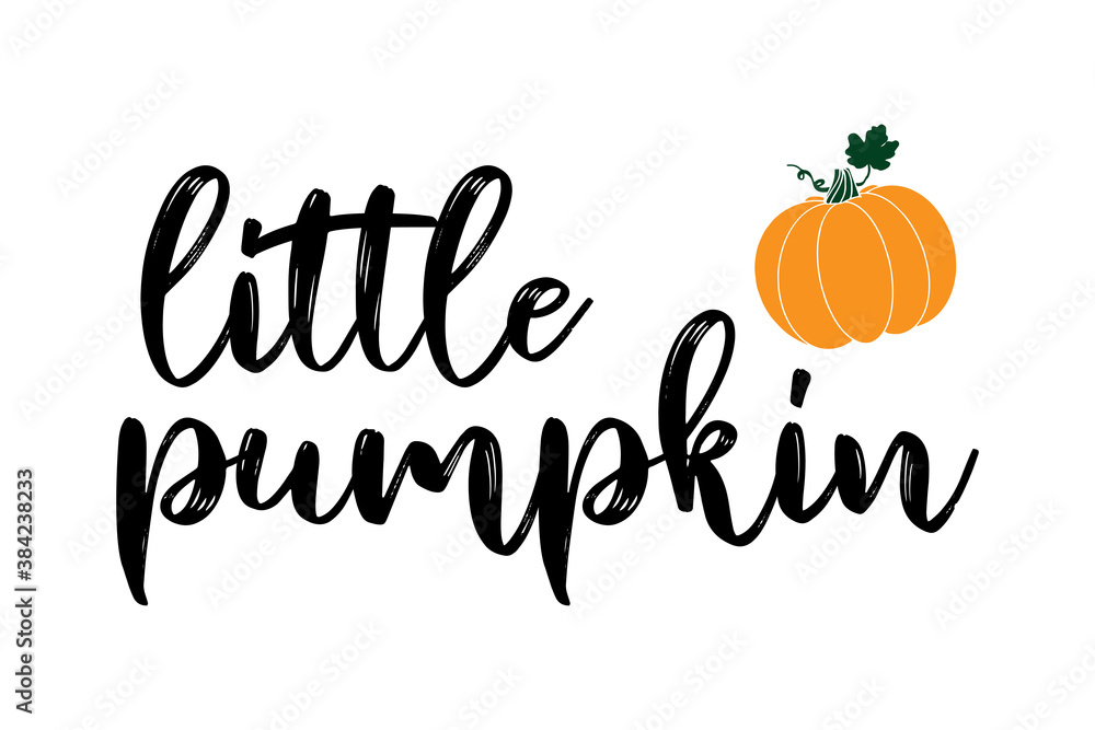 Hand lettered LITTLE PUMPKIN quote with gourd. Lettering for poster, label, sticker, flyer, header, card, advertisement, announcement.. Hand lettered LITTLE PUMPKIN quote with gourd. Lettering for poster, label, sticker, flyer, header, card, advertisement, announcement..