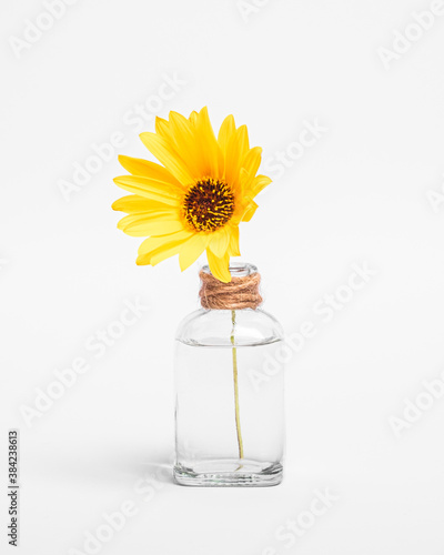 Single yellow daisy flower in vintage glass jar with water, angle view, isolated