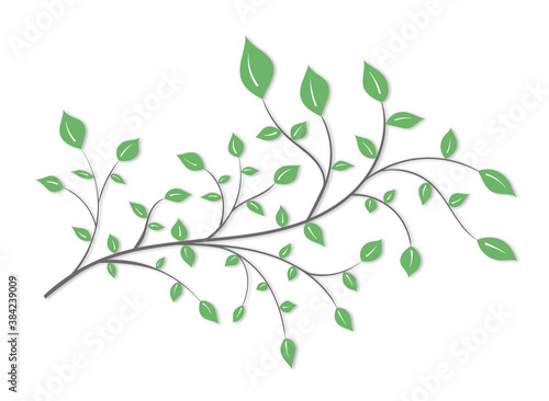 Tree branch with green leaves in a light style on a white background