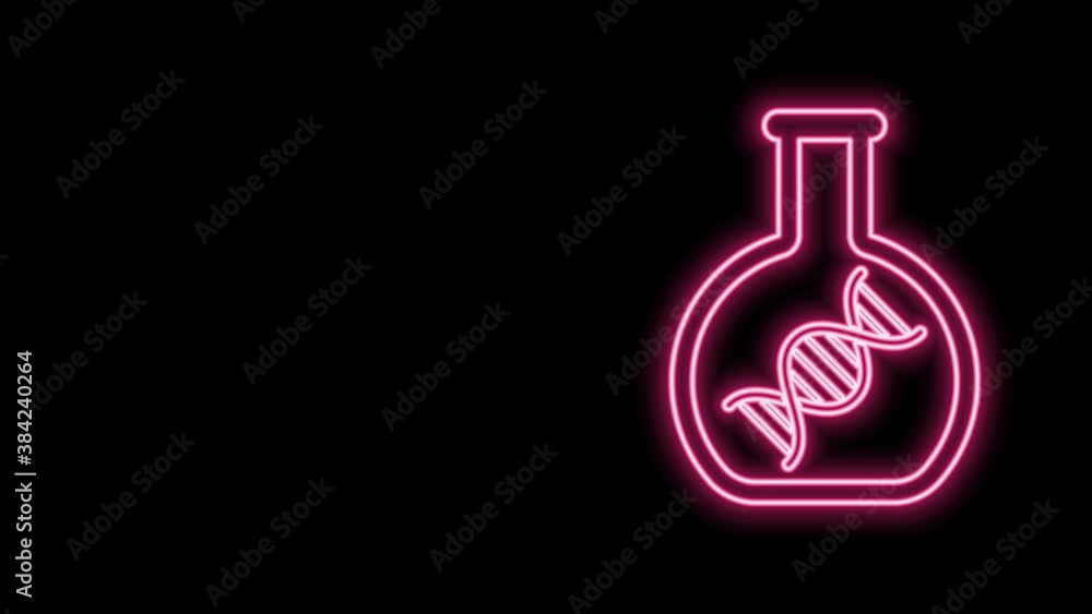 Glowing neon line DNA research, search icon isolated on black background. Genetic engineering, genetics testing, cloning, paternity testing. 4K Video motion graphic animation Glowing neon line DNA research, search icon isolated on black background. Genetic engineering, genetics testing, cloning, paternity testing. 4K Video motion graphic animation
