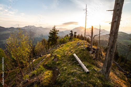 Wanderweg in den Alpen