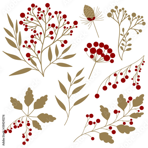 Set of red forest berry with herbs and plants