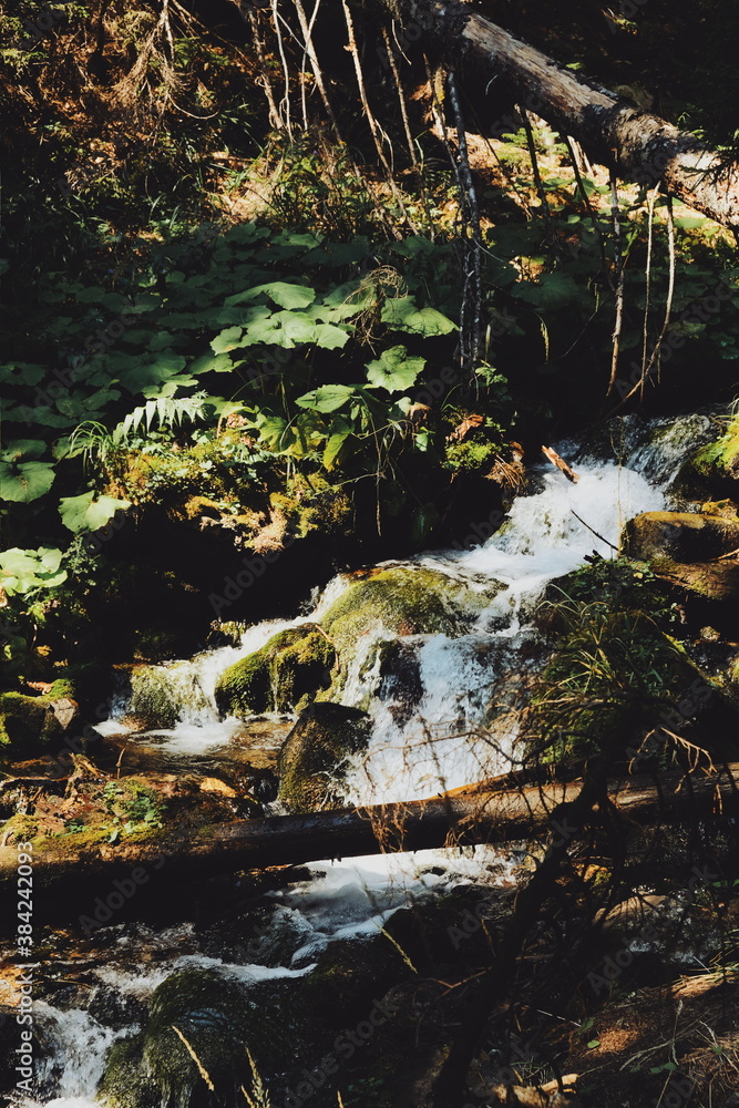 Fototapeta premium view of the river in the mountains.