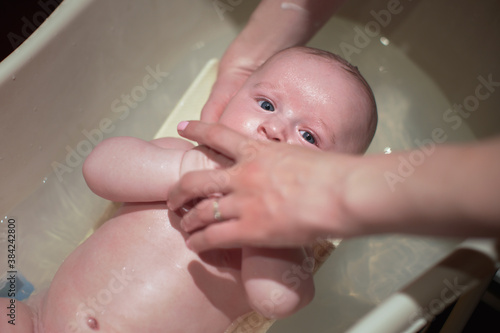 Infant baby boy washed in small bath tub, mother hands over him, view from above