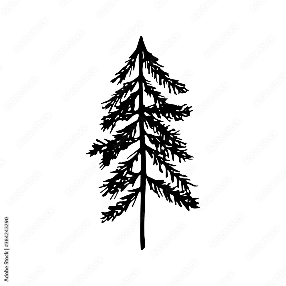 Single hand drawn New Year and Xmas pine tree. Doodle vector illustration for winter greeting cards, posters, stickers and seasonal design. Single hand drawn New Year and Xmas pine tree. Doodle vector illustration for winter greeting cards, posters, stickers and seasonal design.