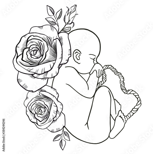 The fetus of the baby inside the womb, in the womb with blossoming roses. Vector icon. For cards, posters, coloring book,for scientific journals book illustrations. Baby birthday card