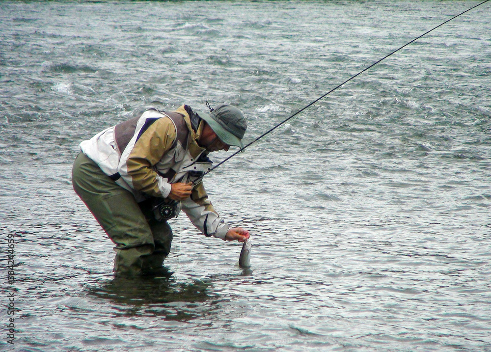 Adult man is fishing and holding the fish with his hands in the lake. Adult man is fishing and holding the fish with his hands in the lake.
