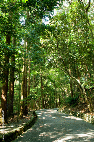 伊勢神宮別宮　月讀宮　 photo