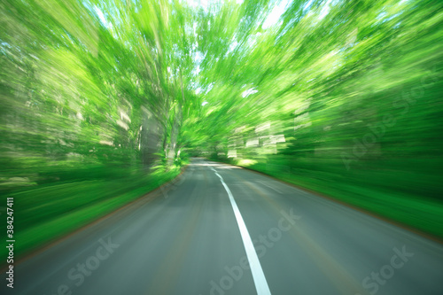 流れる新緑の道 © Paylessimages