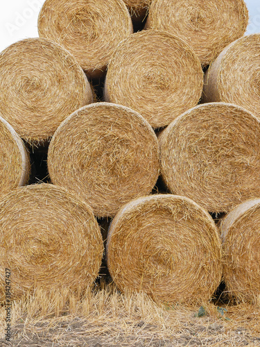 Harvested field with straw bales.