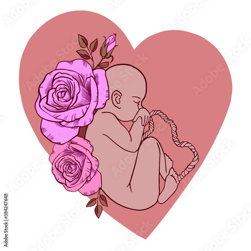 The fetus of the baby inside the red heart, in the womb with blossoming roses. IVector icon. For cards, posters, coloring book,for scientific journals book illustrations. Baby birthday card