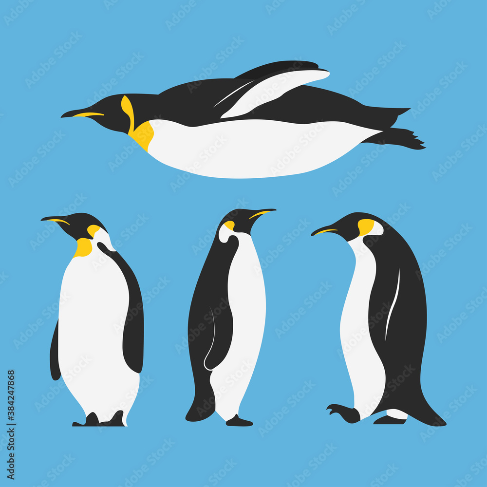 Obraz premium group of penguins birds characters