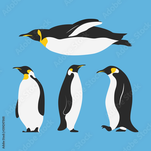 group of penguins birds characters