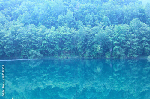 Fototapeta Naklejka Na Ścianę i Meble -  新緑の湖