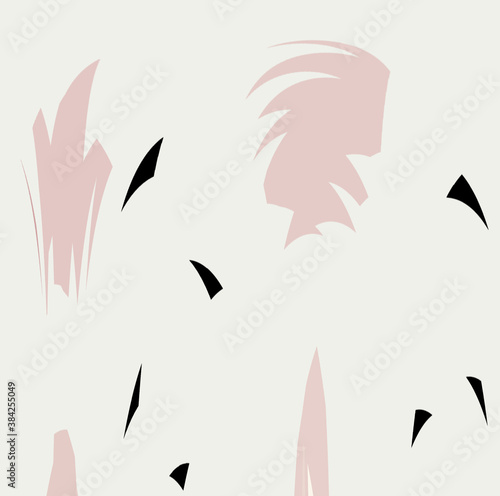 feather illustration
