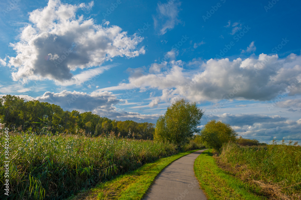 Dark, gray and white rain clouds and a blue sky over a windy rainy city in bright sunlight in autumn, Almere, Flevoland, The Netherlands, October 9, 2020