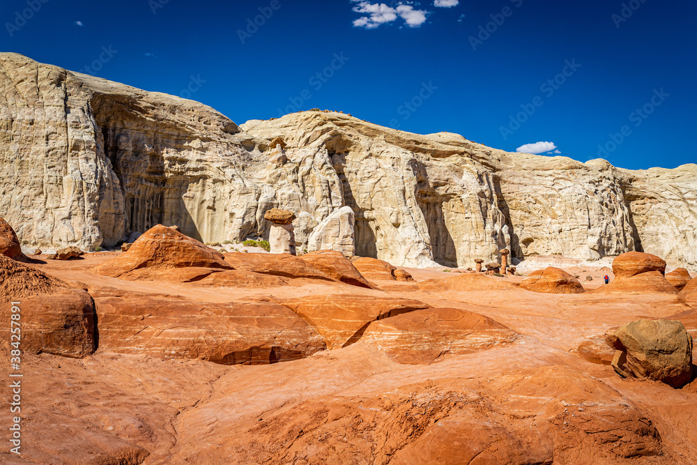 Fototapeta premium The Toadstool Trail at Grand Staircase-Escalante National Monument