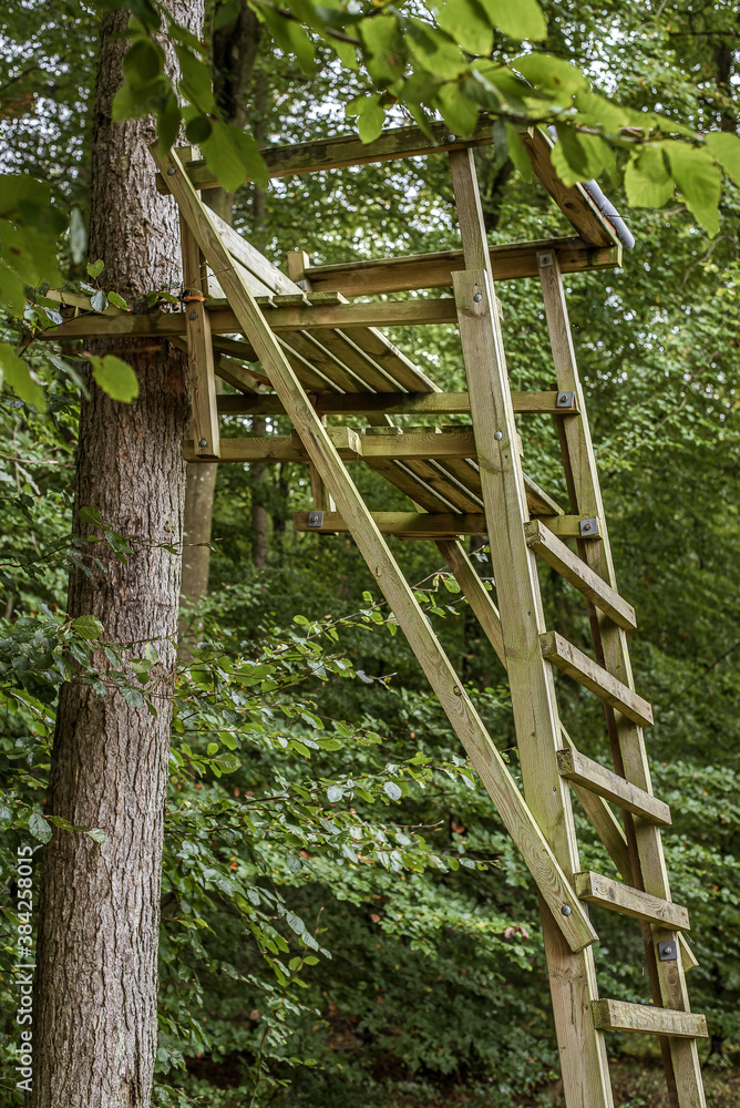 hunting chair on the top of a ladder hunting chair on the top of a ladder