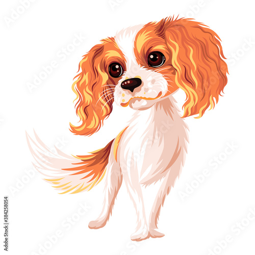 Stampa su tela Vector cute smiling dog Cavalier King Charles Spaniel breed