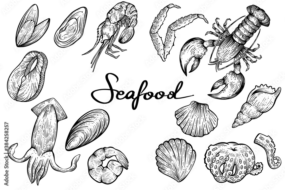 Seafood set, hand drawn vector Seafood set, hand drawn vector