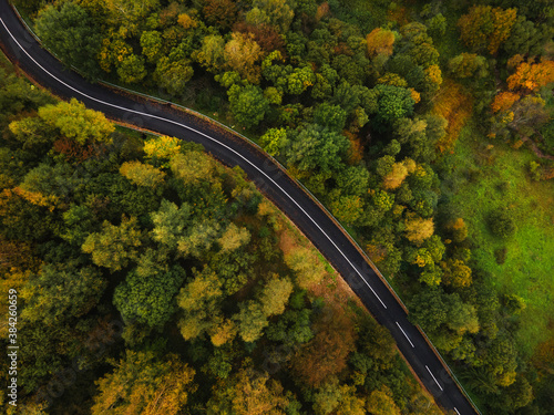 Top down aerial view drone image on the road trough the trees and forest in mountain range in autumn day - Babin Zub Old Mountain in Serbia - Travel journey and vacation concept © Miljan Živković