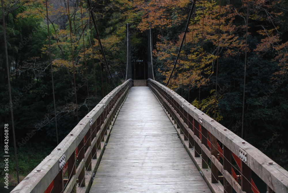 Obraz premium 吊り橋