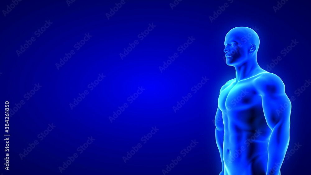 male fitness body - muscle mass building illustration on blue background male fitness body - muscle mass building illustration on blue background