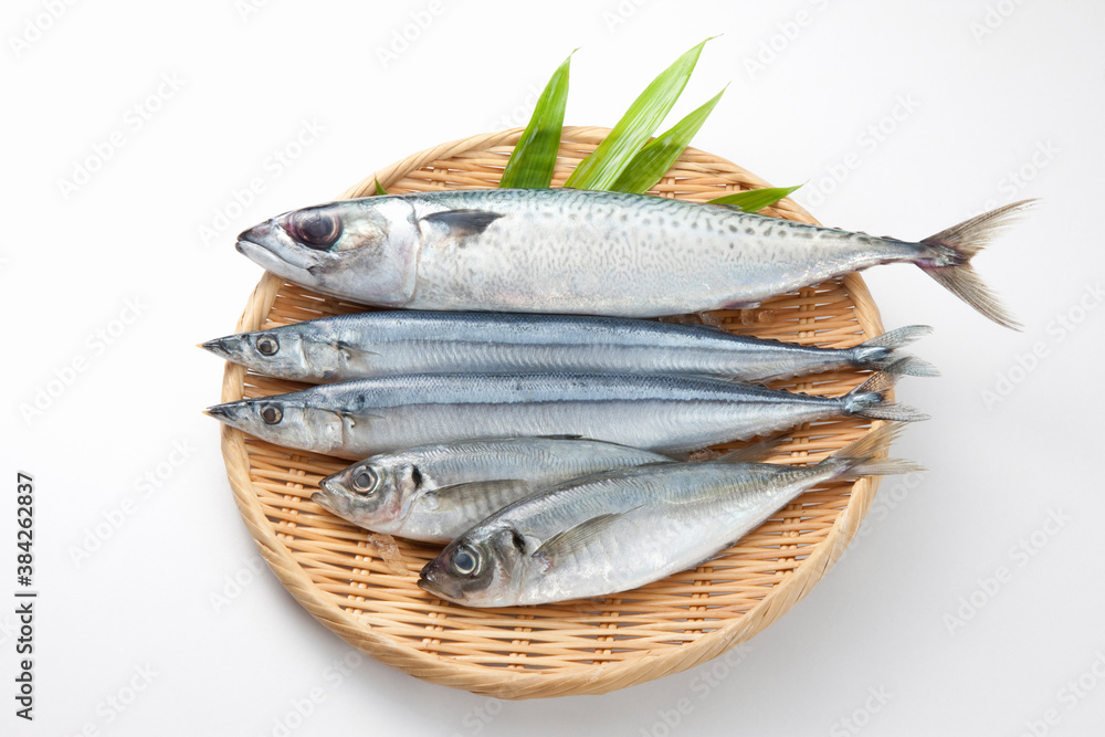 鮮魚 鮮魚