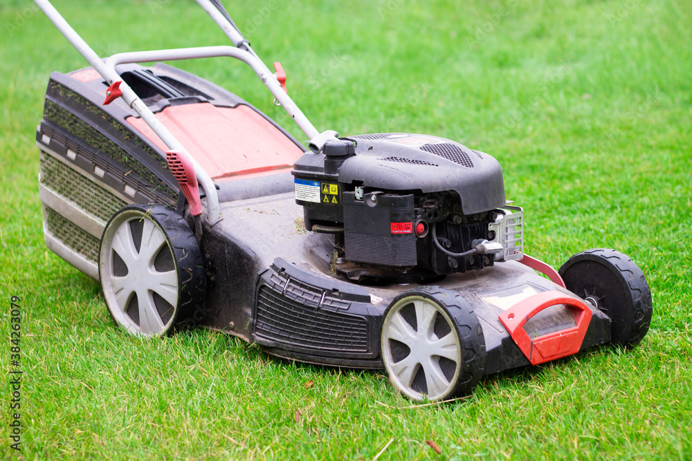 Gasoline lawn mower black and red with grass container on green grass background Gasoline lawn mower black and red with grass container on green grass background