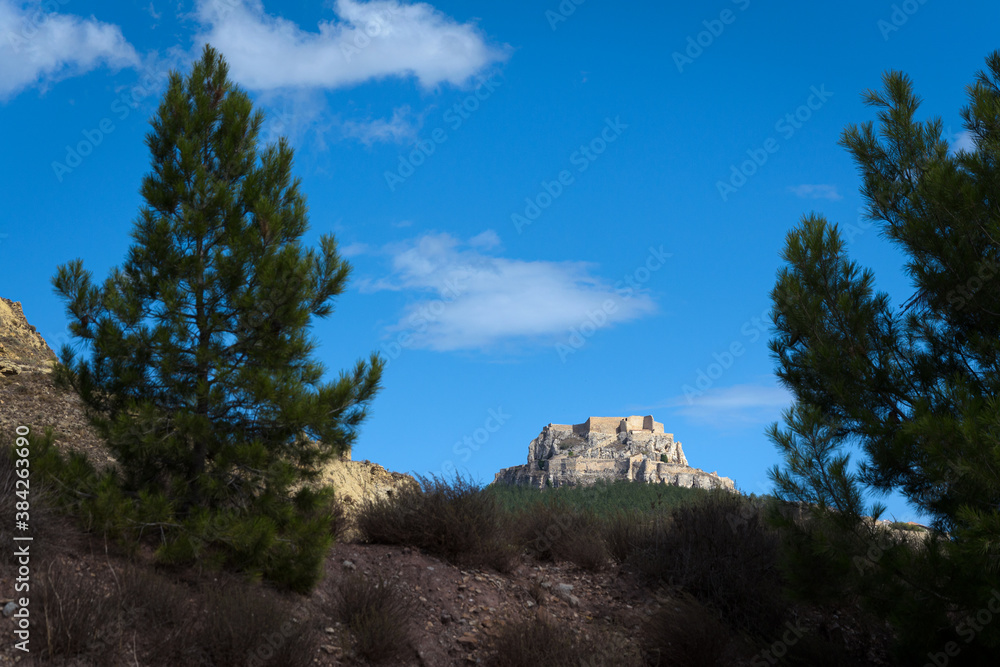View of the castle of Morella between two pine trees, Morella, Castellon, Spain